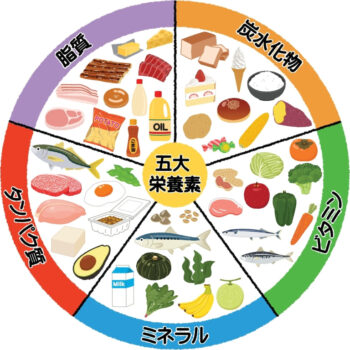 筋肉痛予防におすすめの栄養素