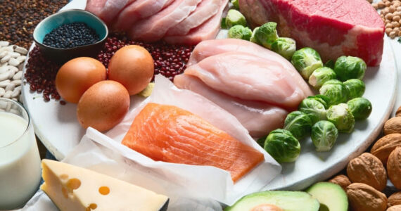内臓脂肪を減らす運動と食事のポイント_タンパク質の食材