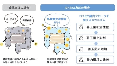 乳酸菌サプリメントの効果とは